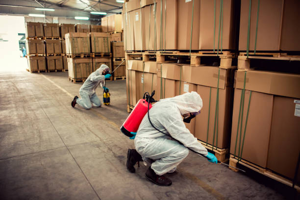 Best Wasp Removal Services  in Granville, WV
