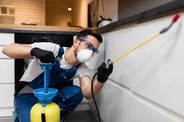 Best Best Pest Control Companies  in Granville, WV