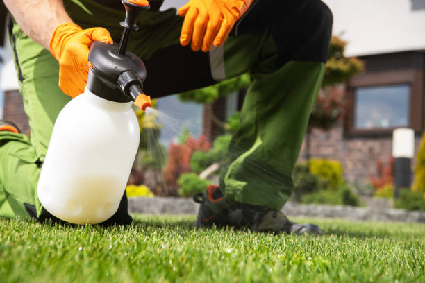 Best Best Pest Control Companies  in Granville, WV