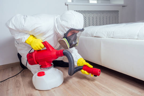 Best Affordable Pest Control Services  in Granville, WV