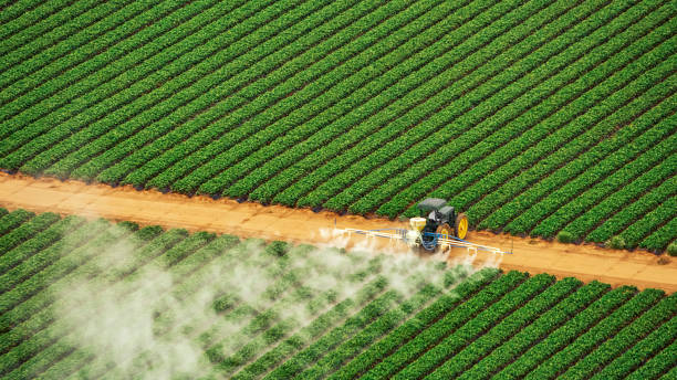 Best Commercial Pest Control Services  in Granville, WV
