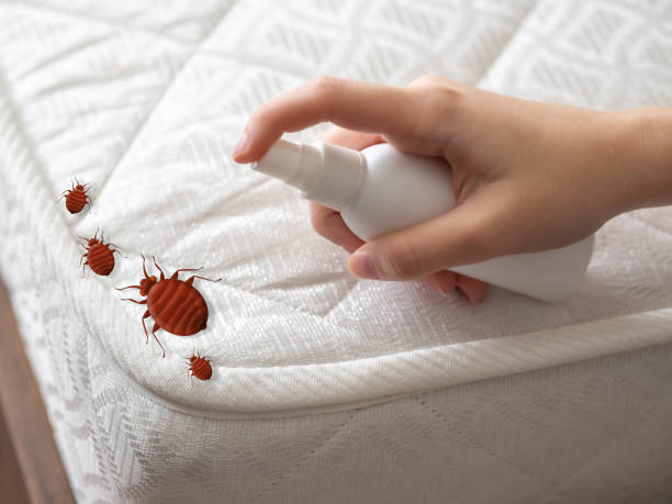 Best Pest Removal Services  in Granville, WV